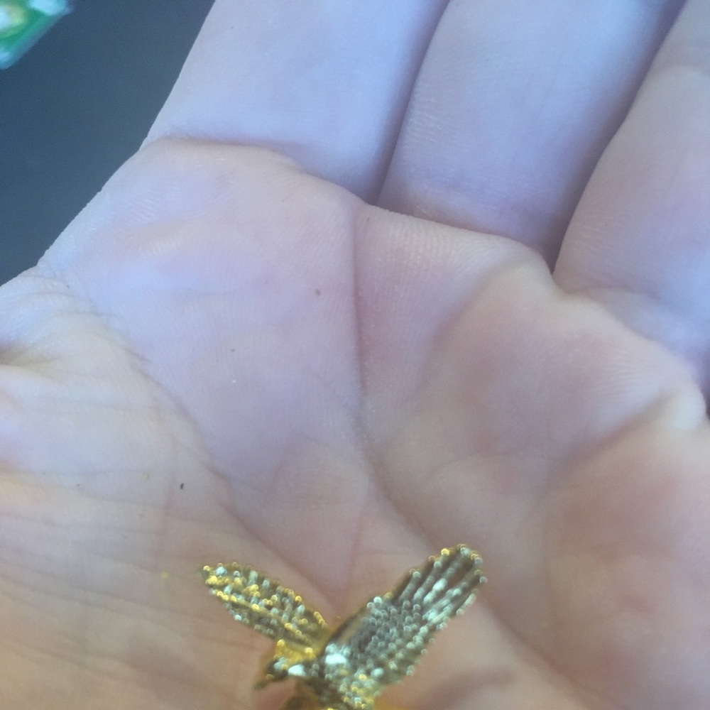 American Eagle Pin - Picture 3 of 3
